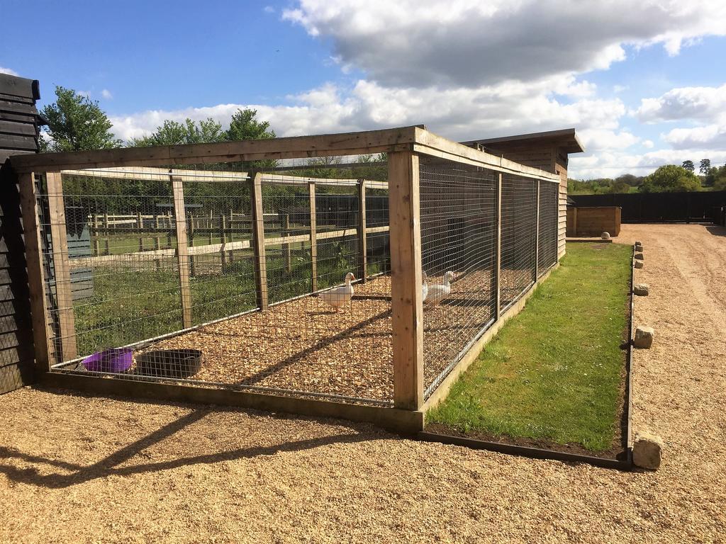 Willow Court Farm Studio East & Petting Farm, 8 Mins To Legoland & Windsor, 15 Mins To Lapland Uk エクステリア 写真