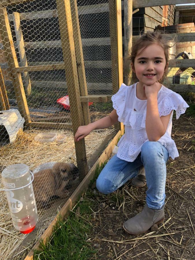 Willow Court Farm Studio East & Petting Farm, 8 Mins To Legoland & Windsor, 15 Mins To Lapland Uk エクステリア 写真