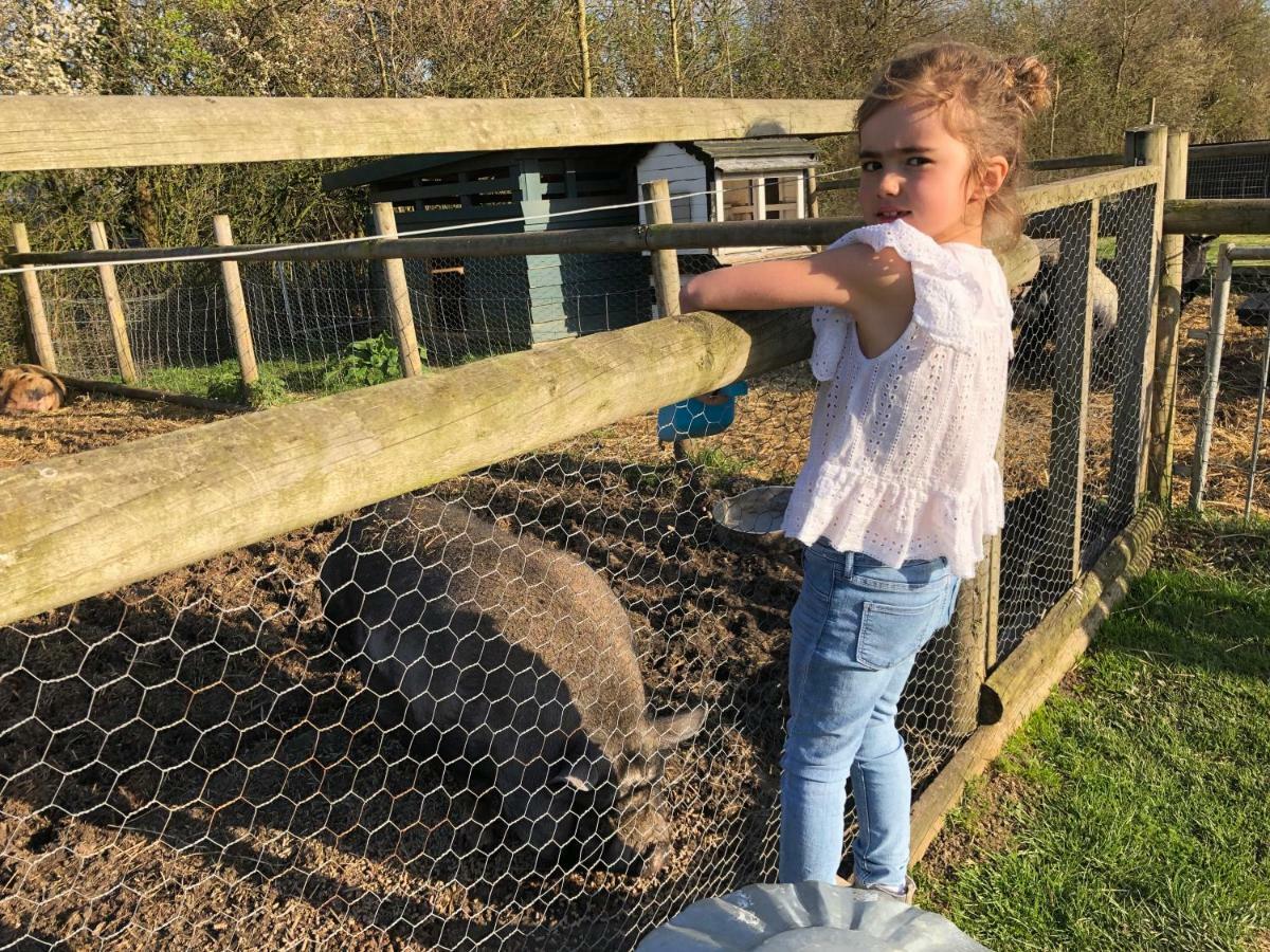 Willow Court Farm Studio East & Petting Farm, 8 Mins To Legoland & Windsor, 15 Mins To Lapland Uk エクステリア 写真