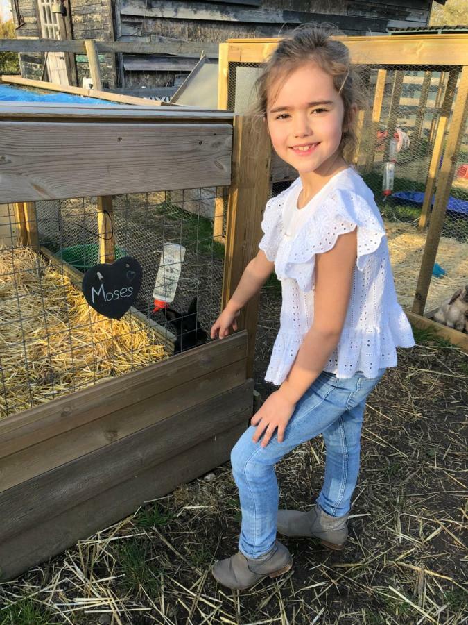 Willow Court Farm Studio East & Petting Farm, 8 Mins To Legoland & Windsor, 15 Mins To Lapland Uk エクステリア 写真