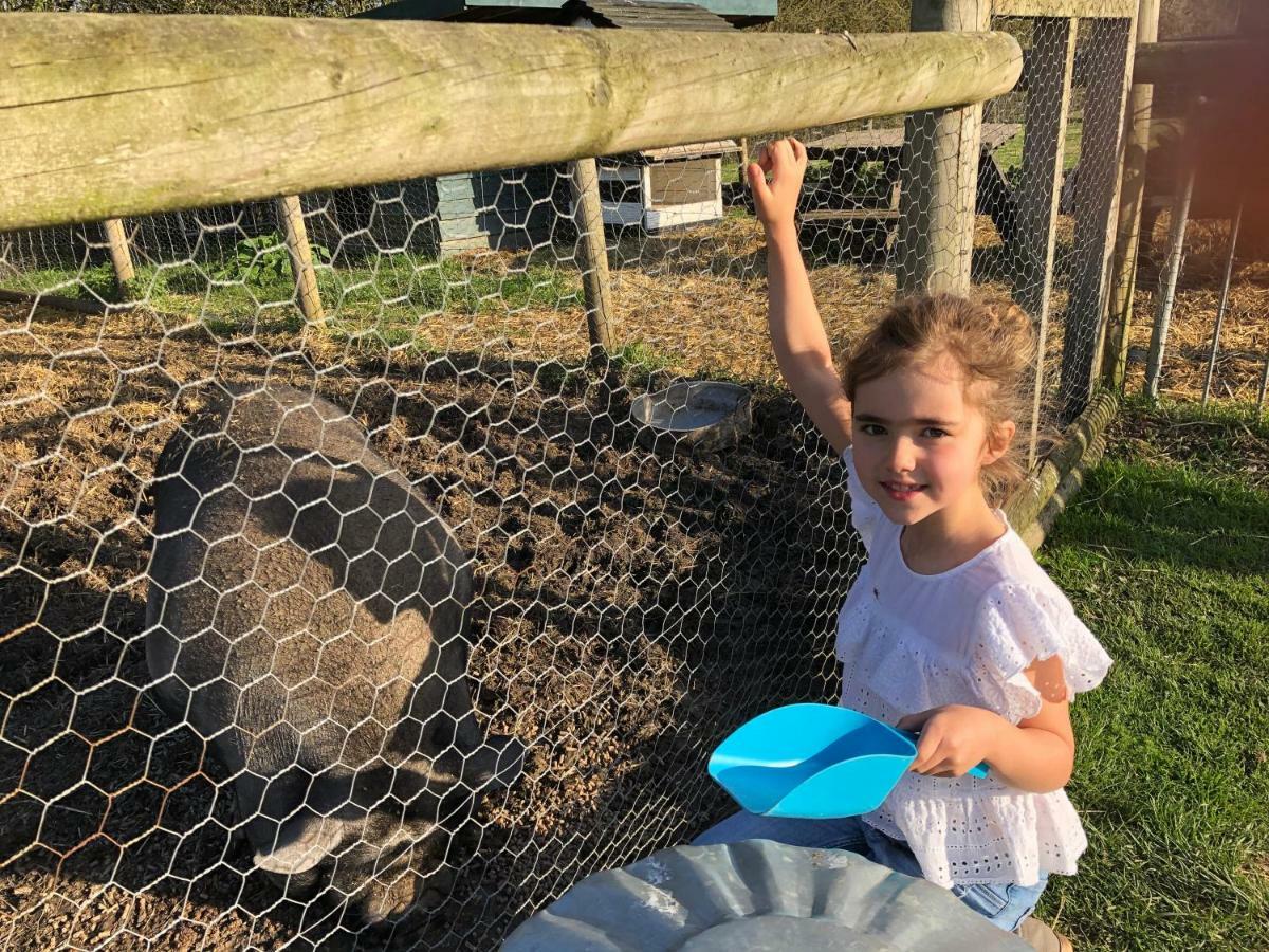 Willow Court Farm Studio East & Petting Farm, 8 Mins To Legoland & Windsor, 15 Mins To Lapland Uk エクステリア 写真
